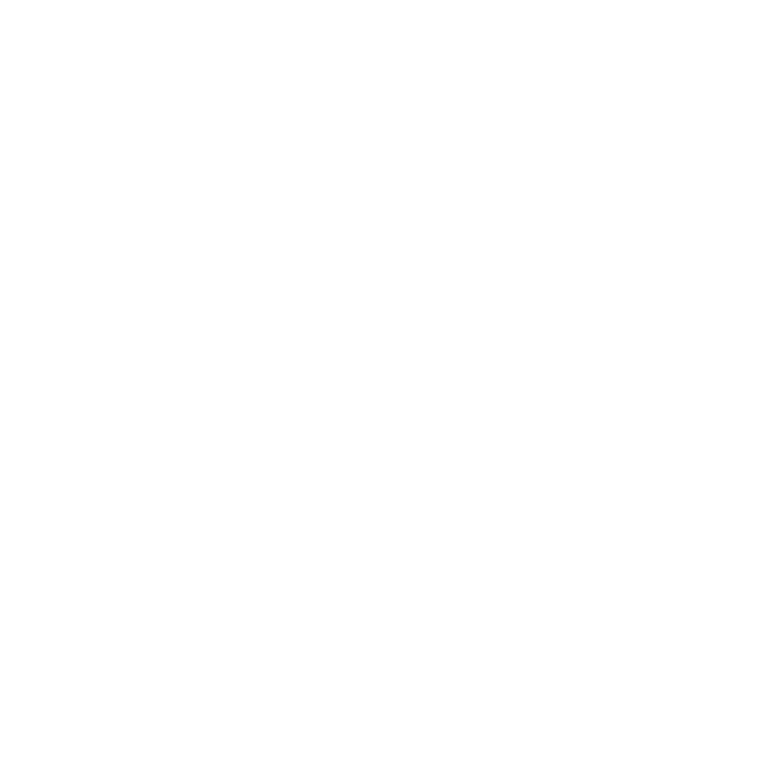 Flutter